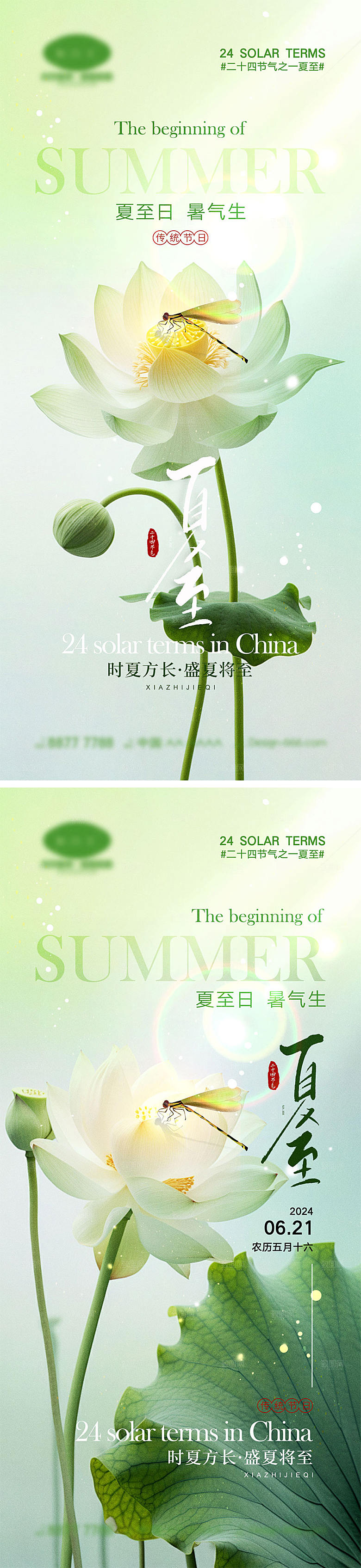 二十四节气夏至海报