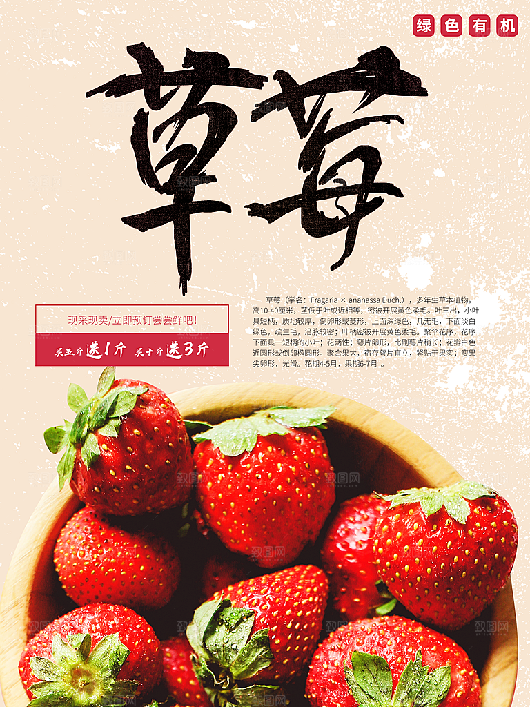 草莓宣传海报设计广告