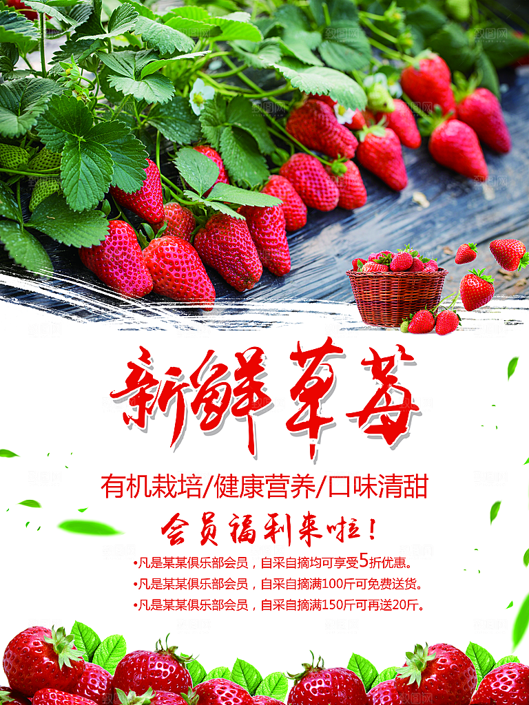 草莓宣传海报设计广告