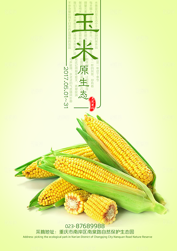 玉米宣传海报设计