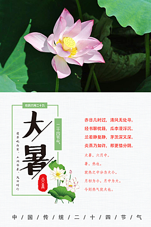 大暑节气简约大气海报