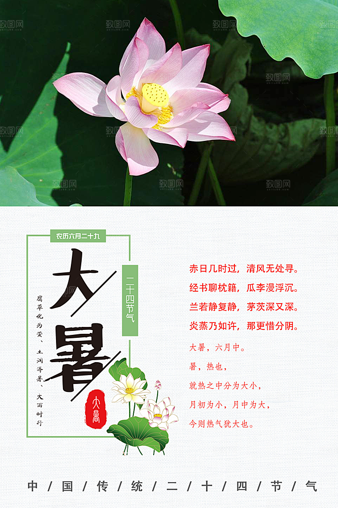 大暑节气简约大气海报