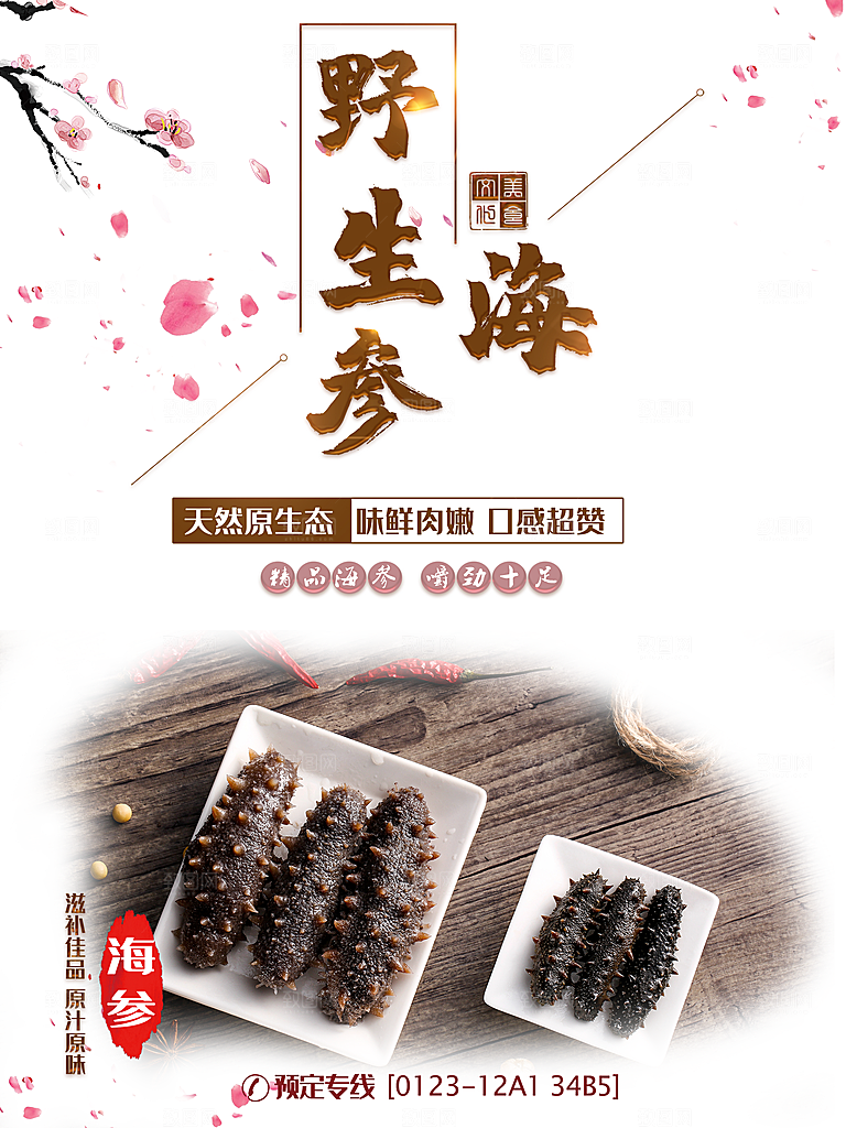 天然原生态野生海参