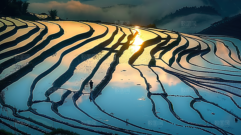 风光乡村自然唯美稻田田园梯田景色风景