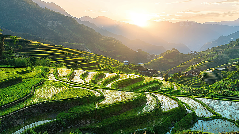 自然景色稻田唯美梯田乡村田园风光风景