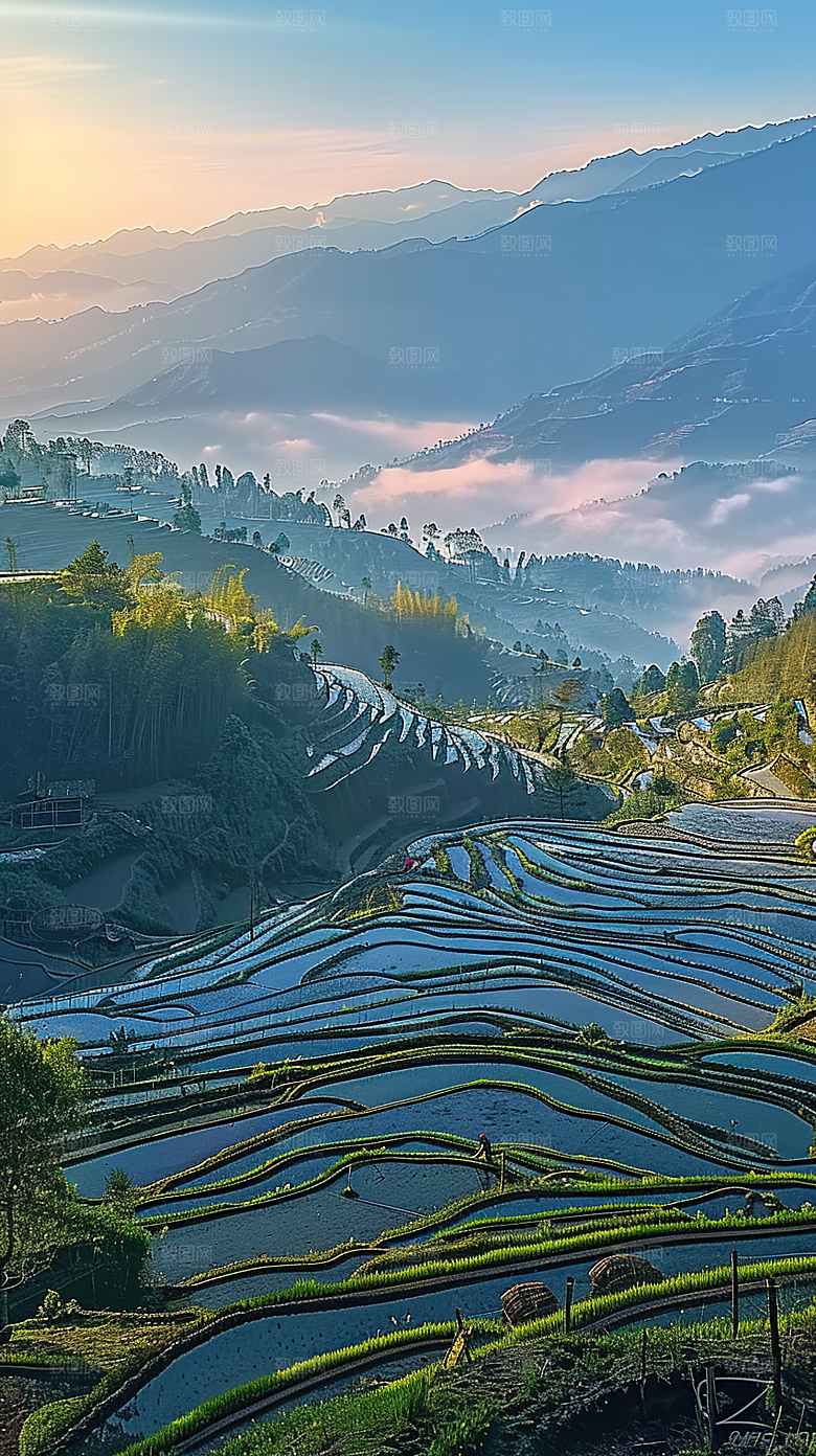 自然景色稻田唯美梯田乡村田园风光风景