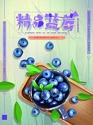 新鲜水果精品蓝莓