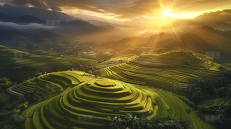 稻田自然风光唯美乡村田园风景梯田