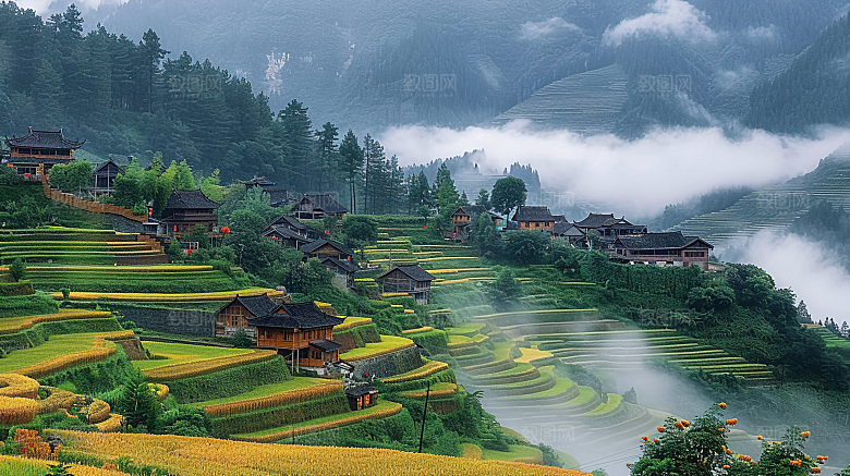 自然乡村景色梯田稻田风光田园唯美风景