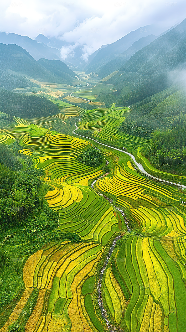 唯美风景乡村自然梯田田园稻田景色