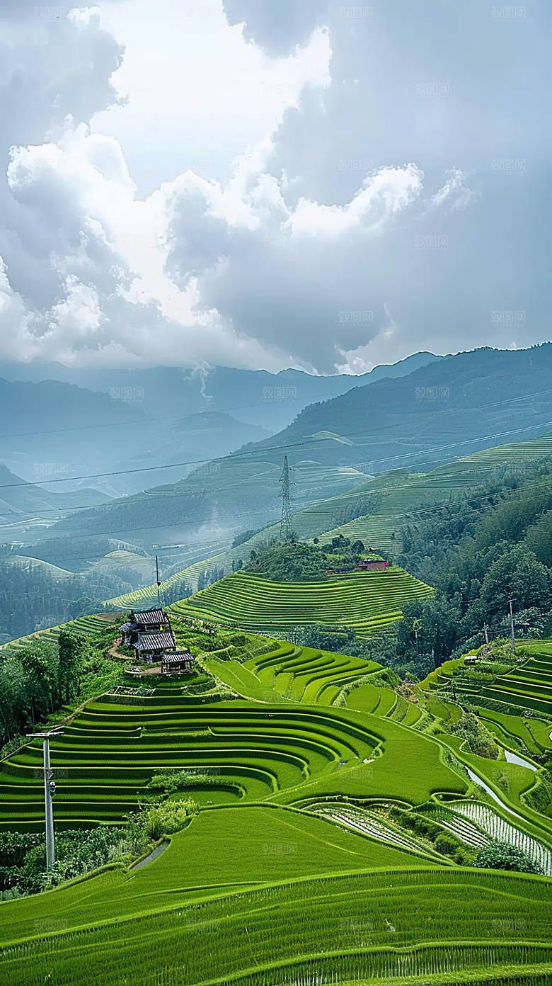 风光自然唯美梯田乡村田园稻田景色风景