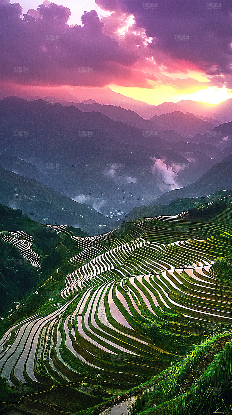 风光自然唯美梯田乡村田园稻田景色风景