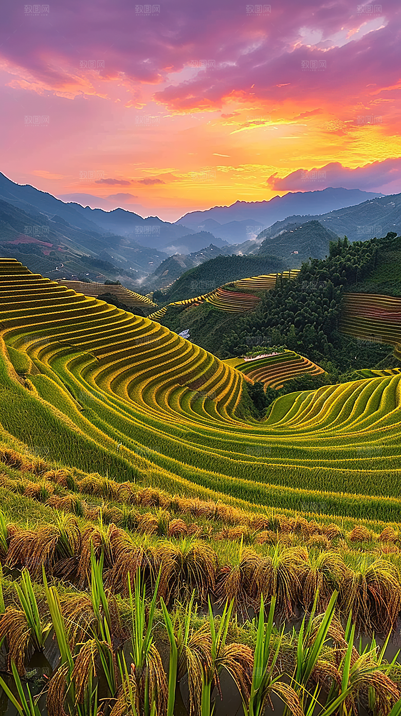 风光自然唯美梯田乡村田园稻田景色风景