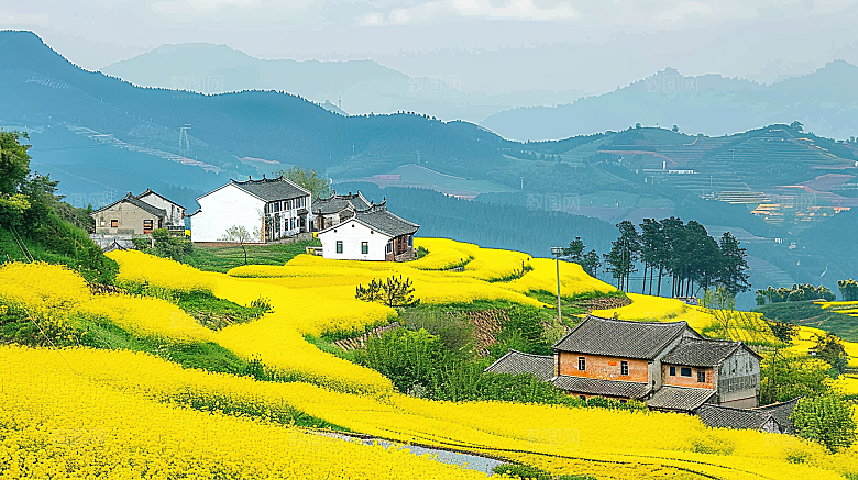 田园乡村景色风景稻田唯美风光梯田自然