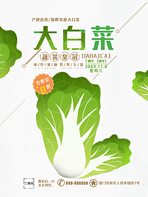 新鲜蔬菜大白菜海报