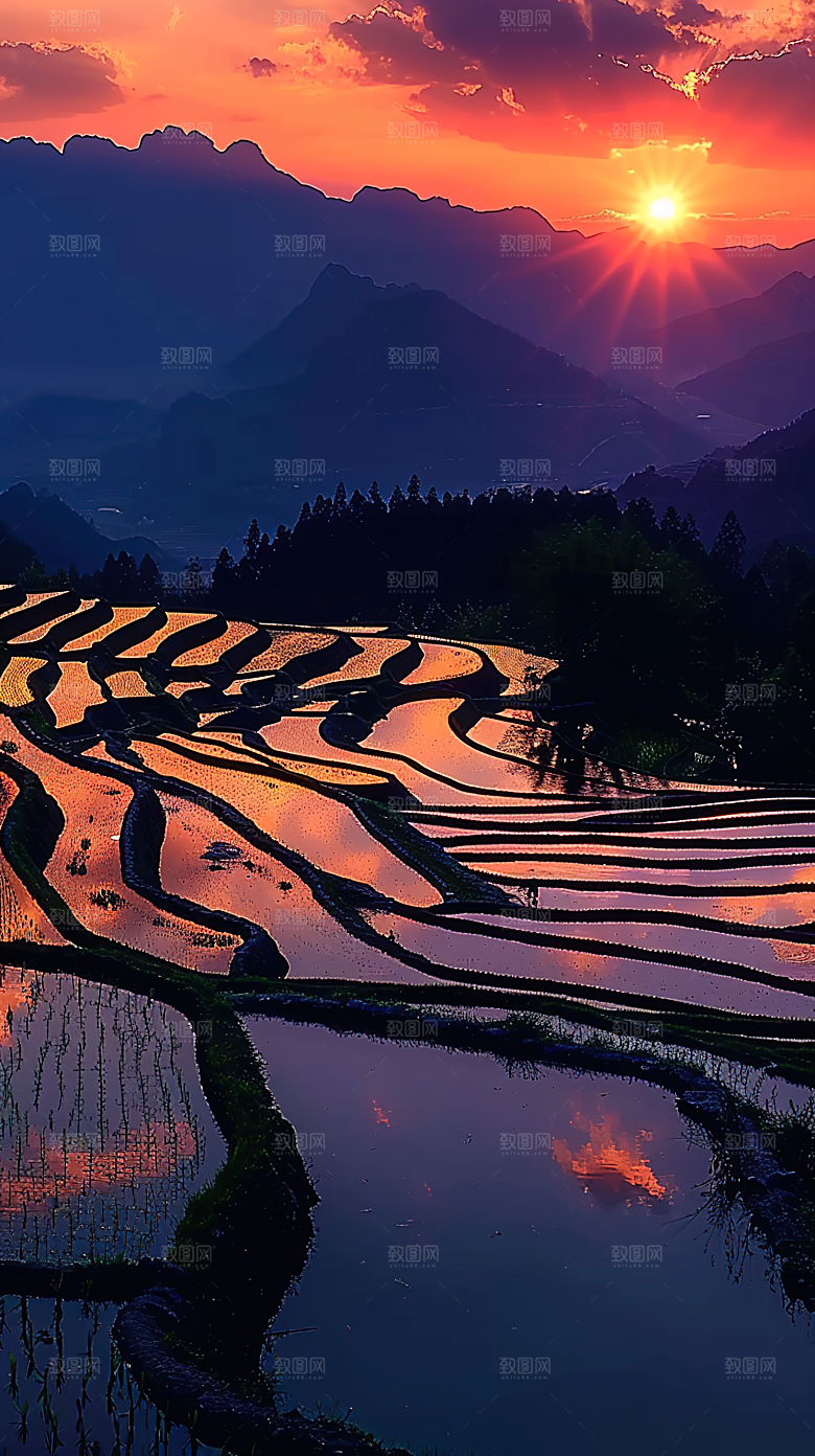 风景梯田唯美自然景色风光乡村稻田田园