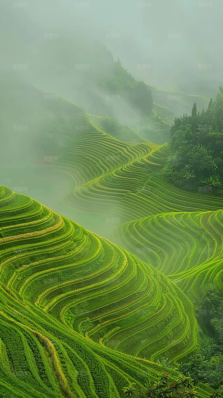 梯田唯美风景自然景色稻田田园风光乡村