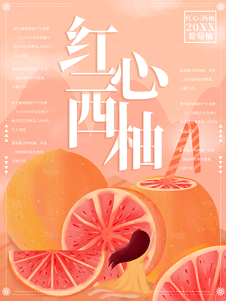 红心西柚宣传海报
