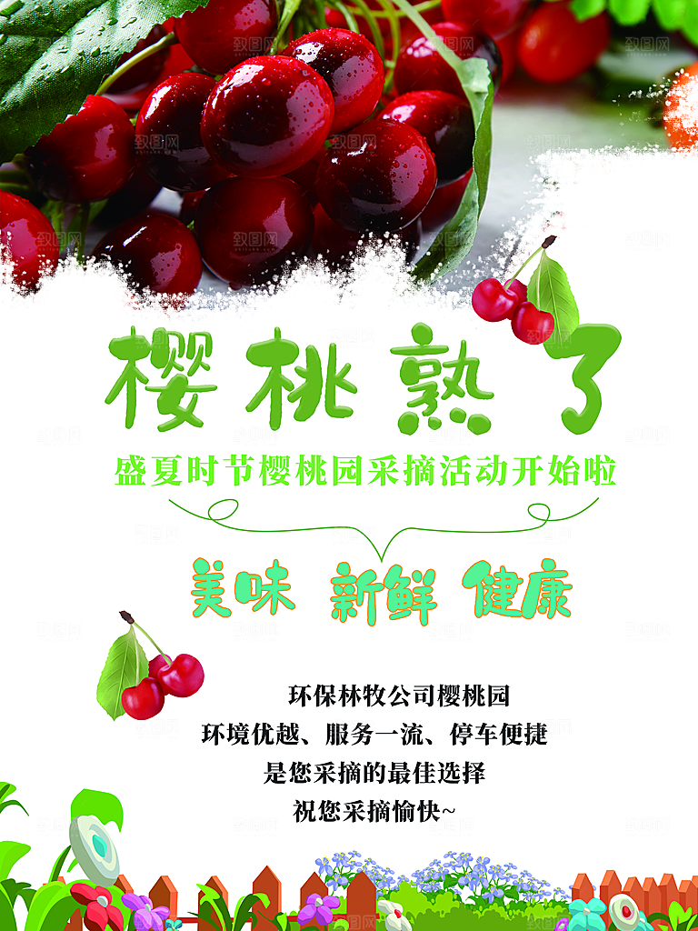 新鲜水果樱桃熟了