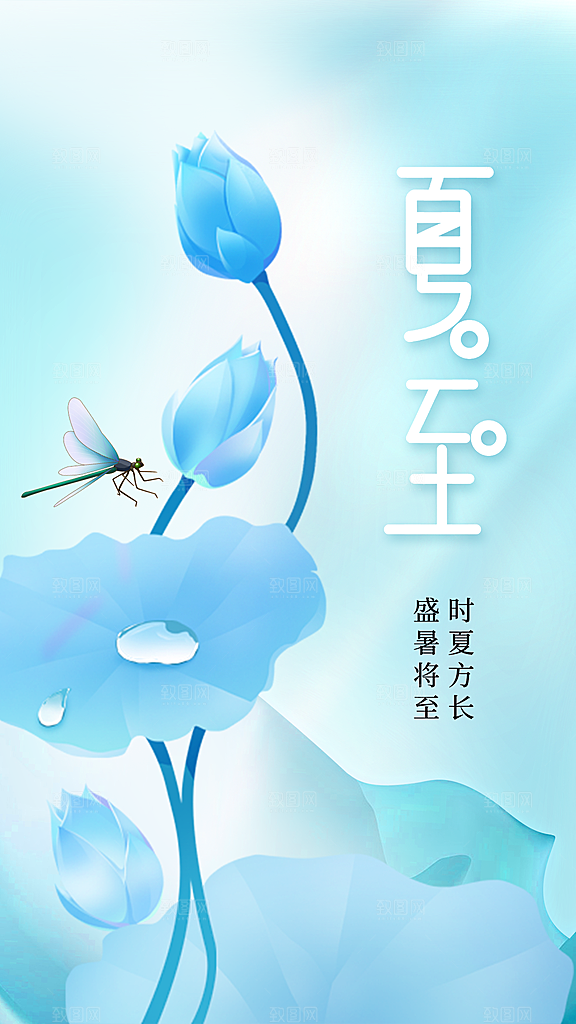 夏至节气传统活动海报