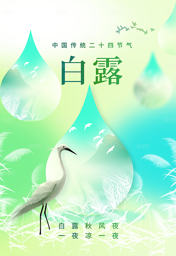 白露节气传统活动海报