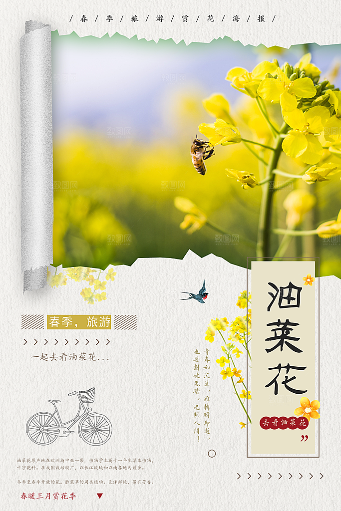油菜花宣传海报设计素材