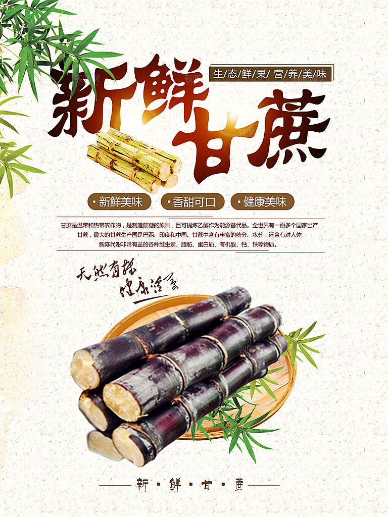 甘蔗宣传海报广告设计