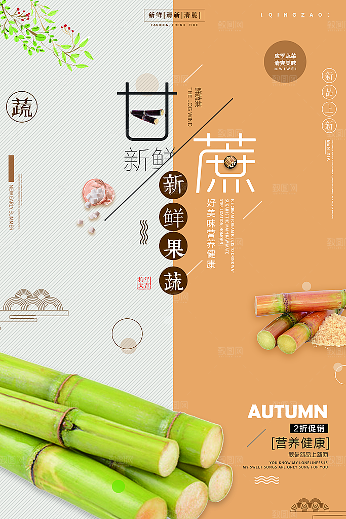 甘蔗宣传海报广告设计