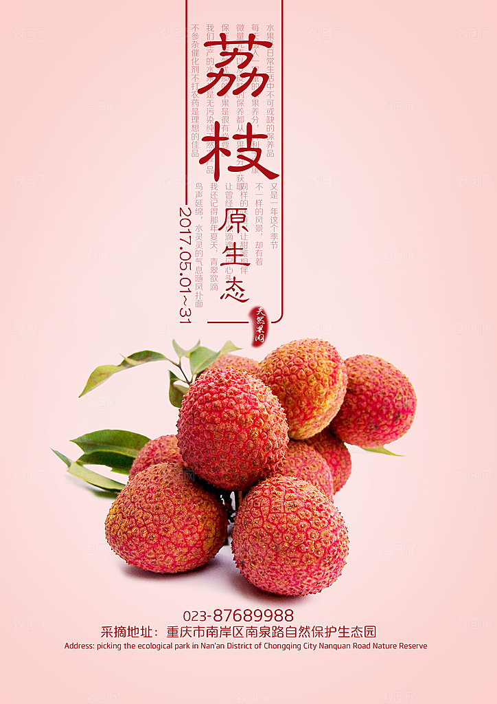 荔枝海报设计素材广告