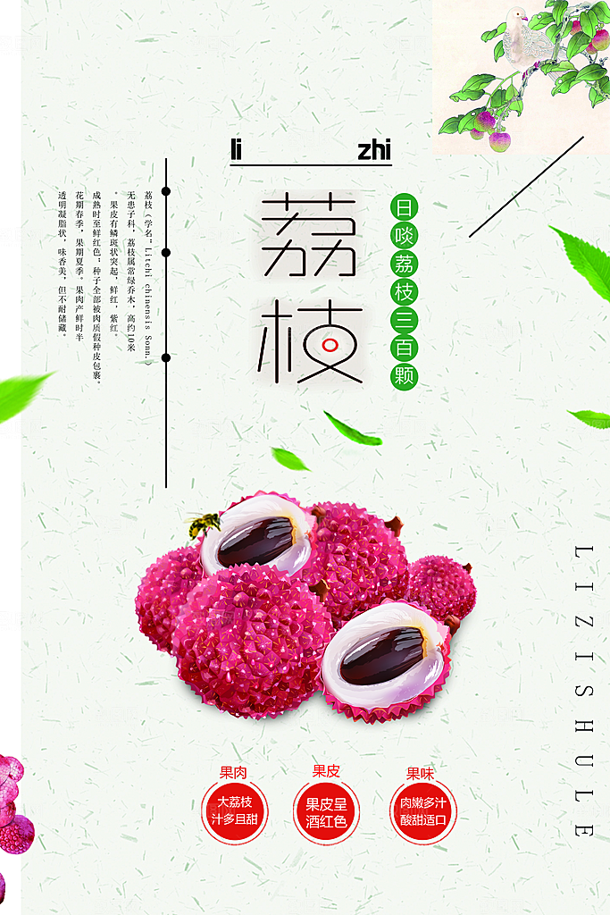 荔枝宣传海报设计
