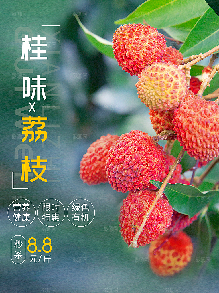 荔枝水果宣传海报展板