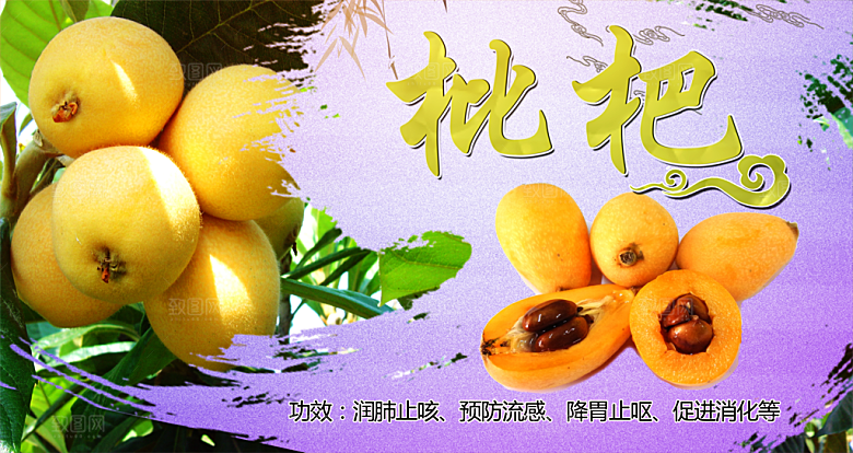 枇杷水果宣传展板设计