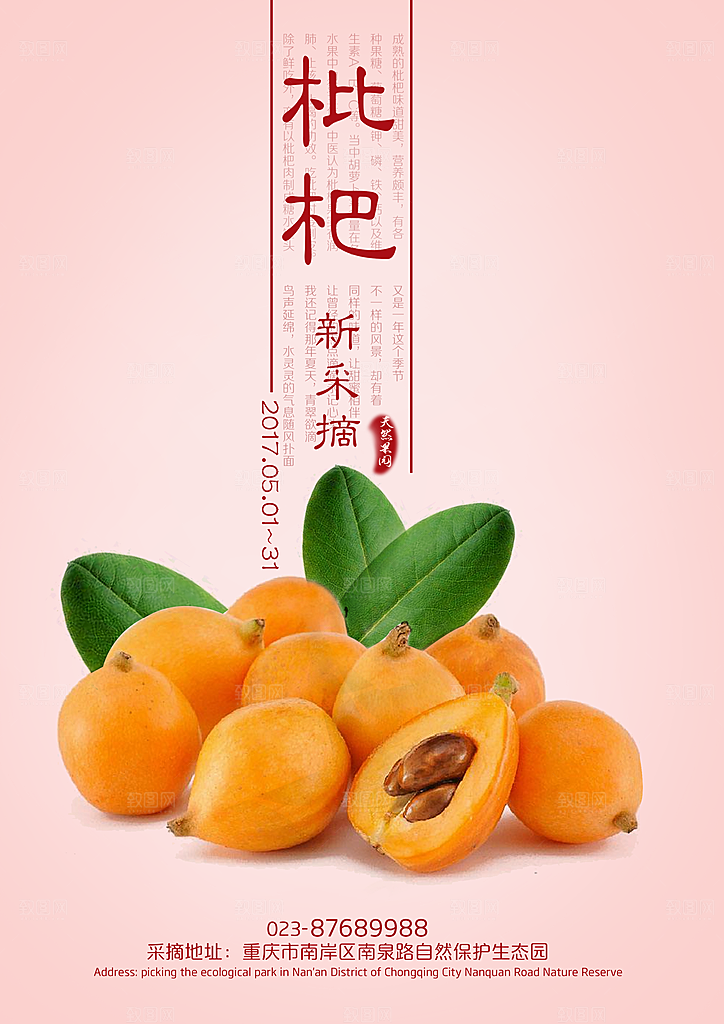 枇杷水果宣传海报设计