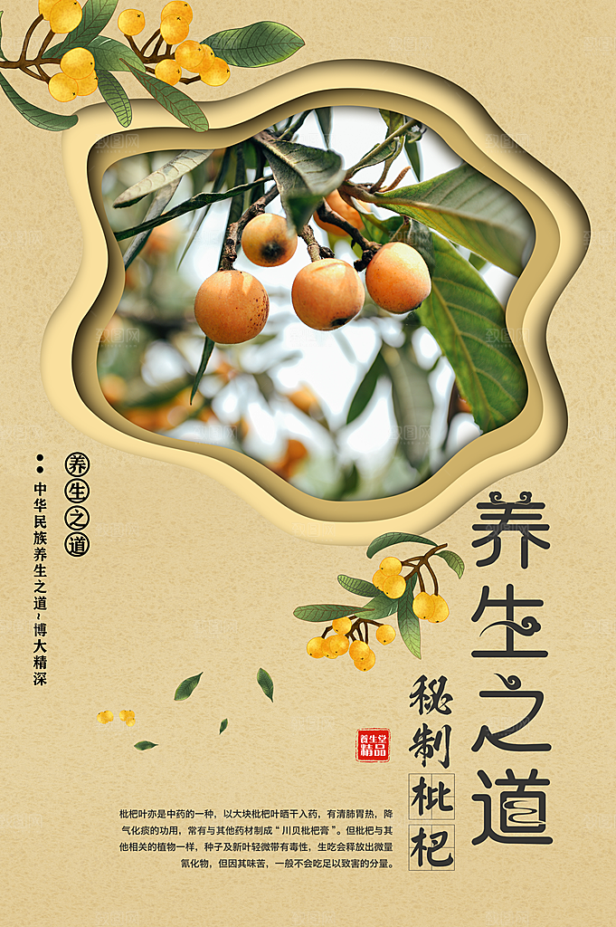 枇杷水果宣传海报设计