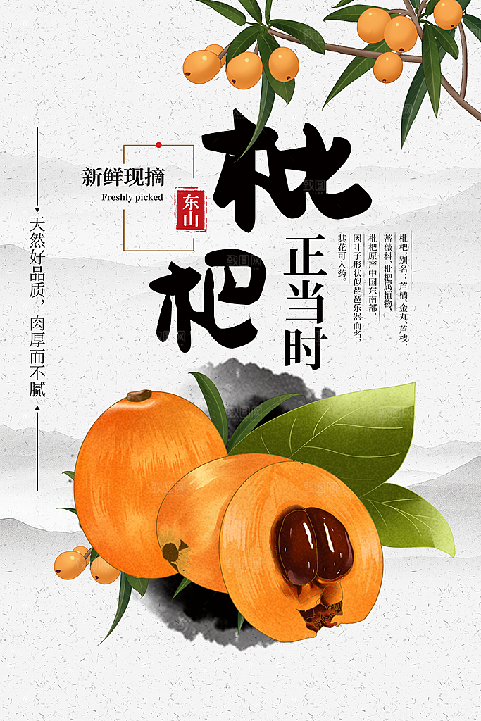 枇杷水果宣传海报设计