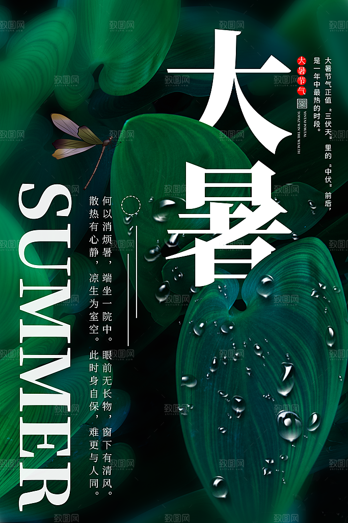 传统节日大暑海报模板