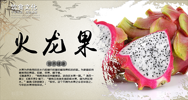 火龙果宣传海报展板设计素材