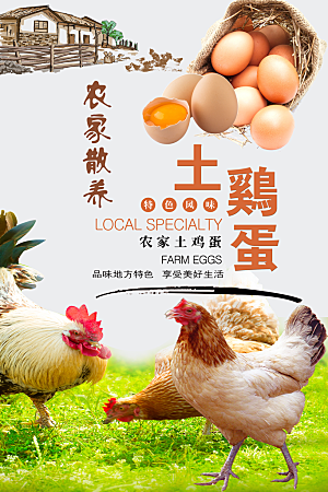 土鸡蛋宣传广告海报展板设计素材