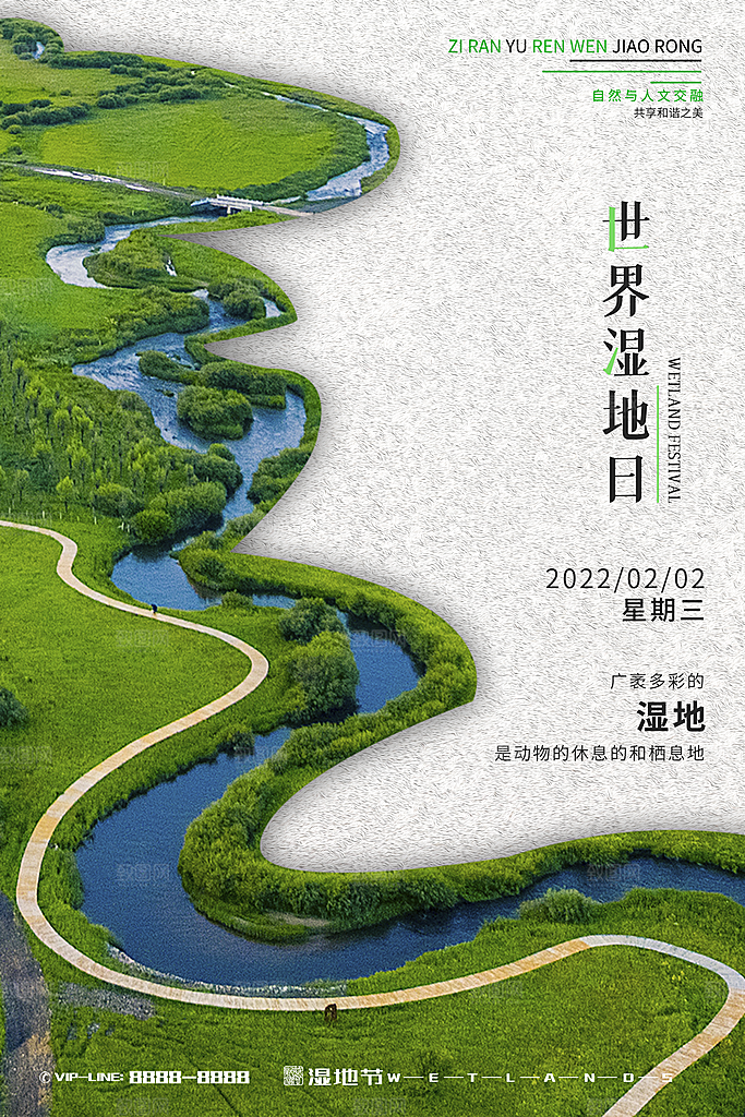 保护湿地世界湿地日宣传展板海报