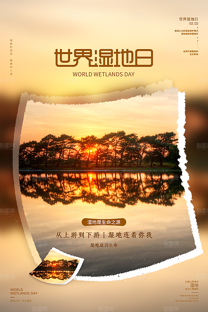 保护湿地世界湿地日宣传展板海报
