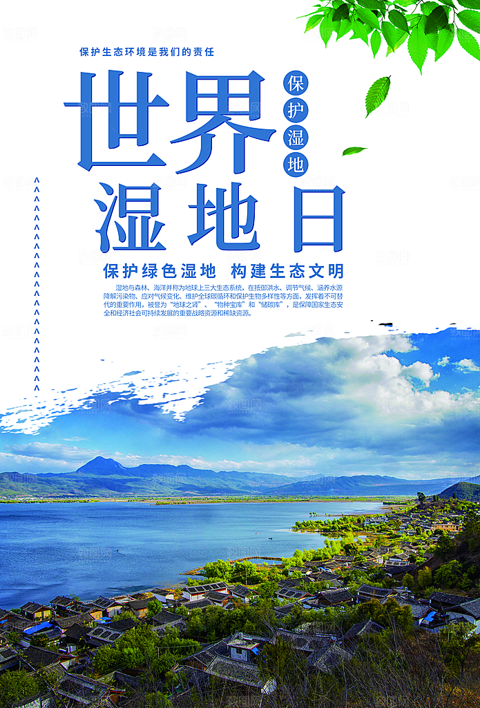 保护湿地世界湿地日宣传展板海报