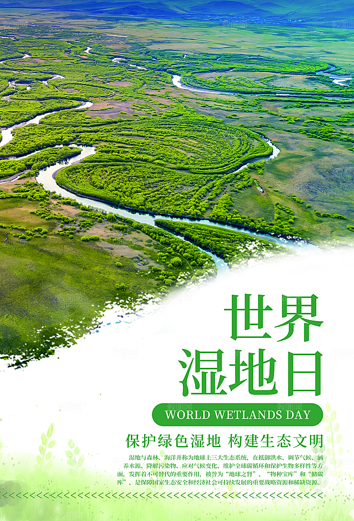 保护湿地世界湿地日宣传展板海报设计