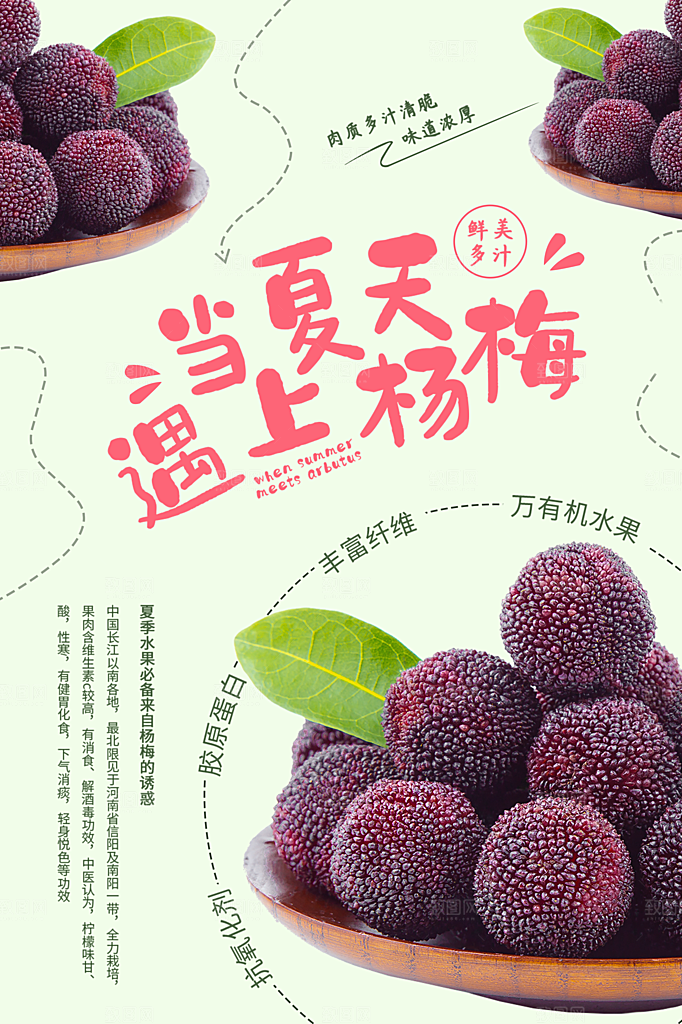 杨梅宣传海报设计展板