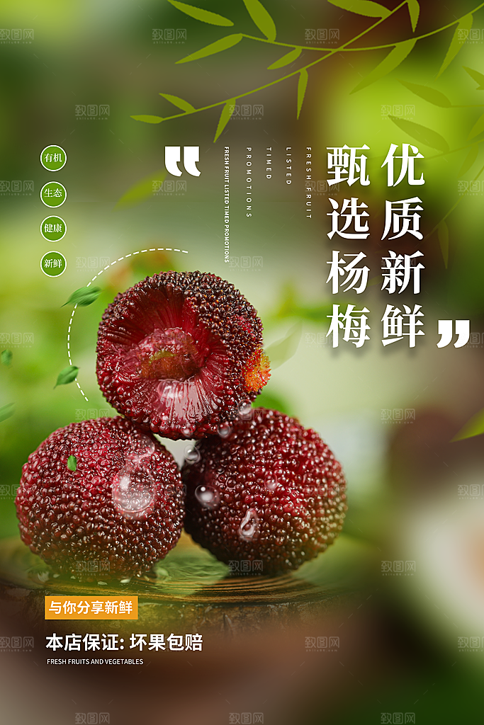 杨梅宣传海报设计