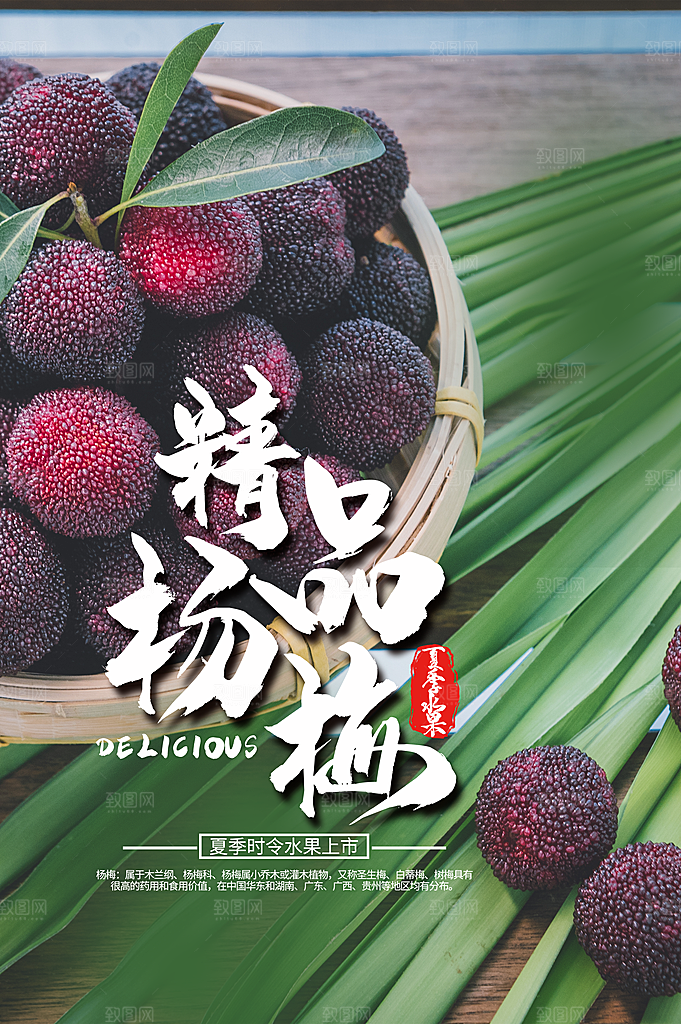 杨梅宣传海报设计