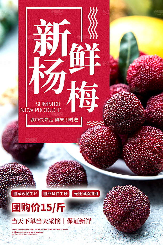 杨梅宣传海报设计