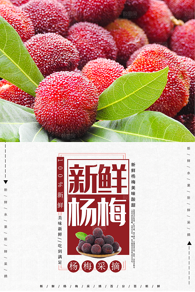 杨梅宣传海报设计