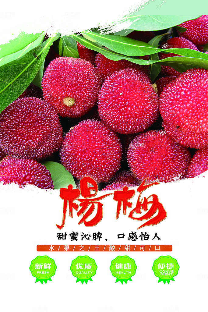 杨梅宣传海报设计