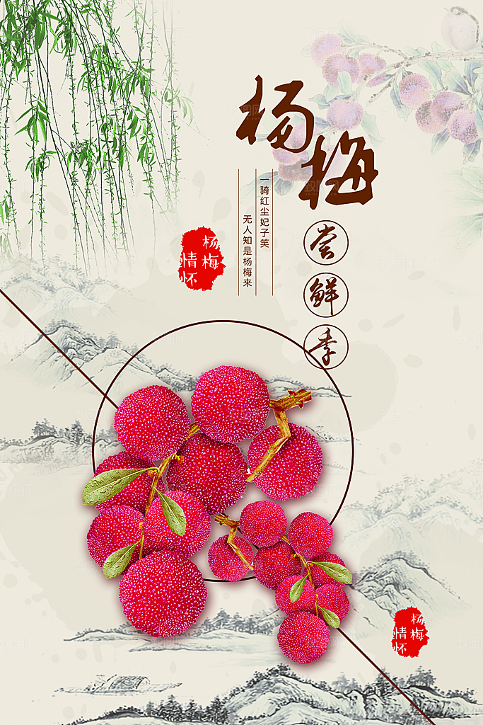 杨梅宣传海报设计素材展板