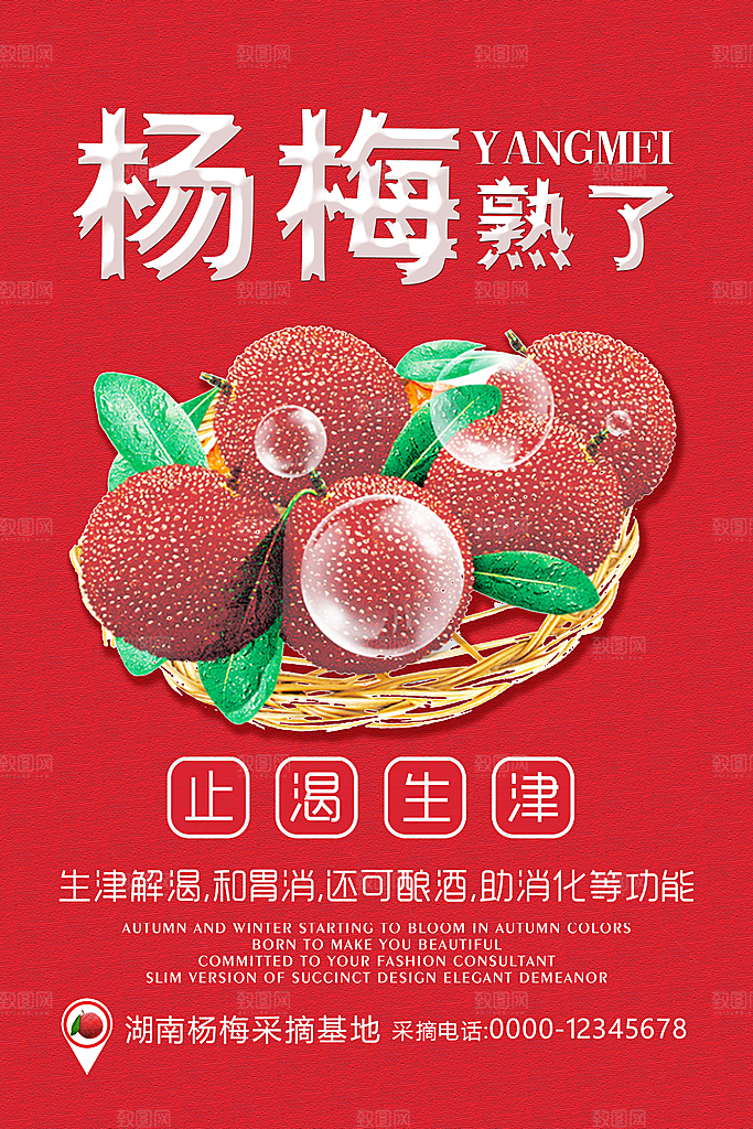 杨梅宣传海报设计素材展板